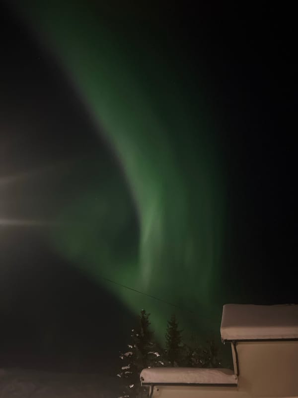 Aurora borealis illuminates Tromsø skies in green display