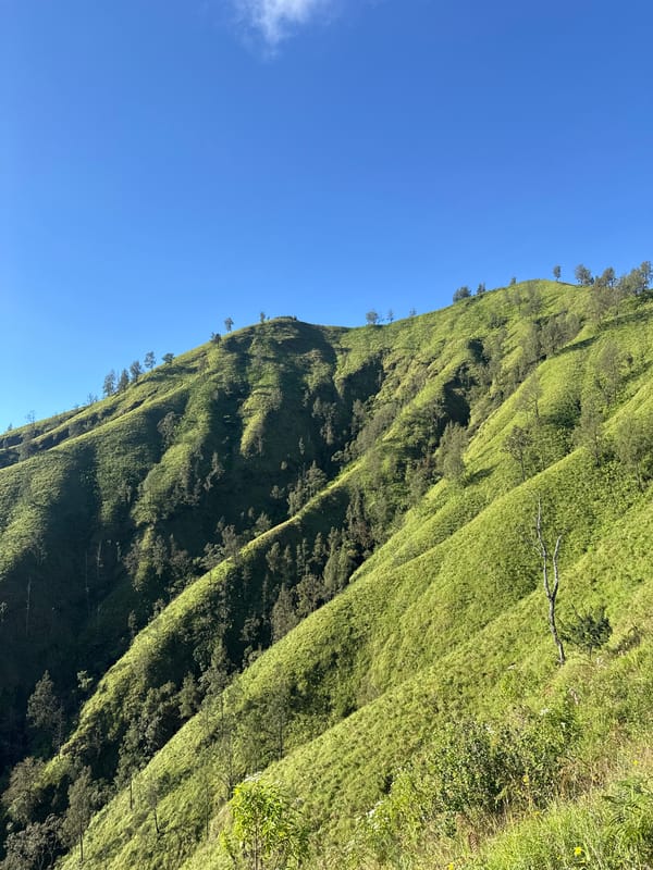 Hillside landscape photographed in Kintamani, Indonesia