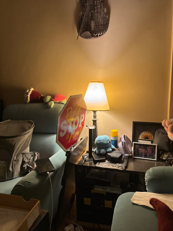 Sofia resident documents cluttered living space during evening hours