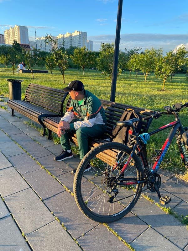 Evening dog walks and park activities in Moscow