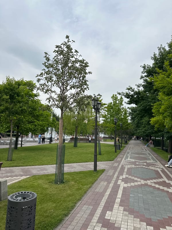 Pedestrian walkway with landscaping documented in Yerevan, Armenia