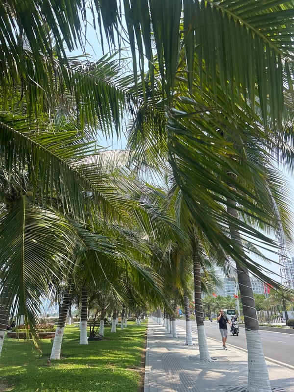 Early morning pedestrian activity on Nha Trang palm-lined sidewalk