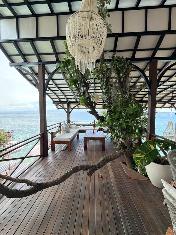 Outdoor pergola space with distinctive tree captured in Nusa Penida