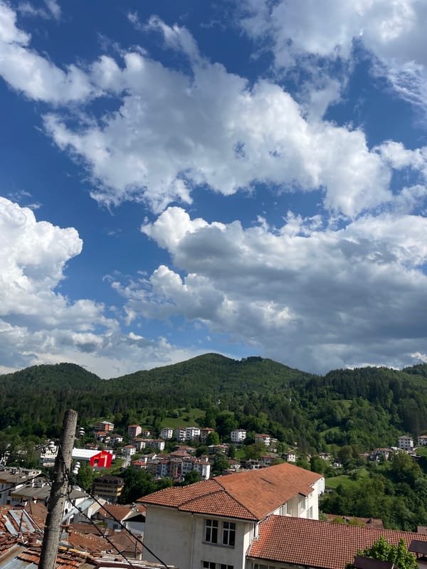 Quiet afternoon with cat companion in Bulgarian mountain town