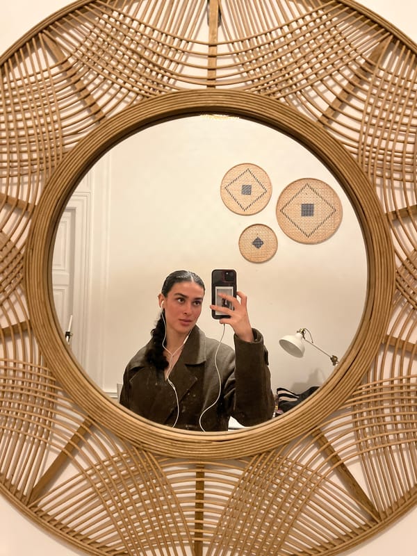 Person takes mirror selfies at home in Lyon