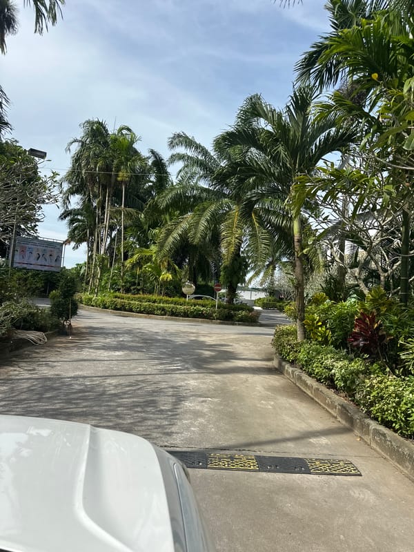 Vehicle journey documented through tropical Kathu, Thailand roads
