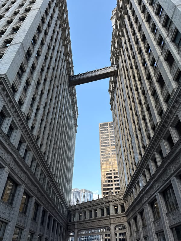 Evening architectural tour documented across downtown Chicago's iconic skyline