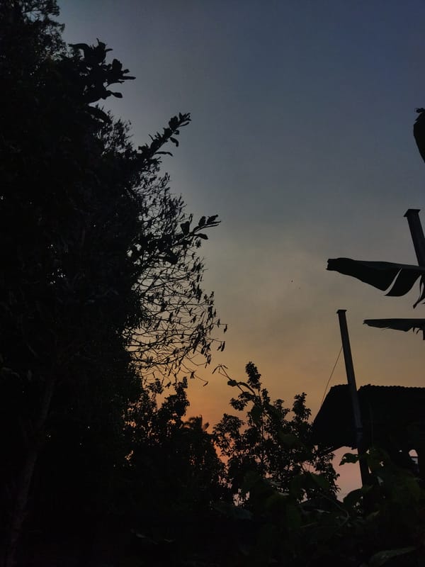 Sky observations and succulent plant captured in brief timespan