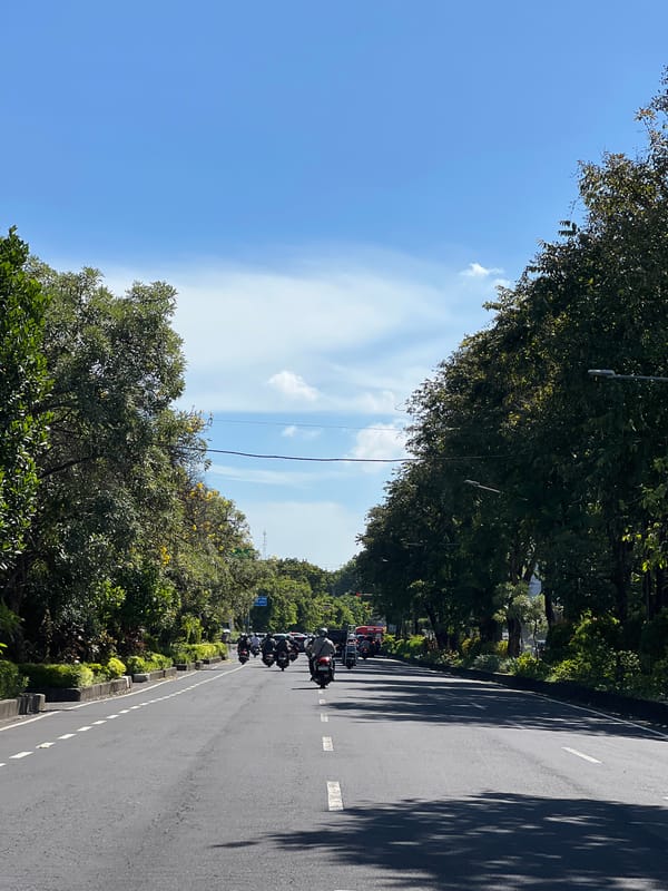 Sunny morning captured on tree-lined road in Denpasar