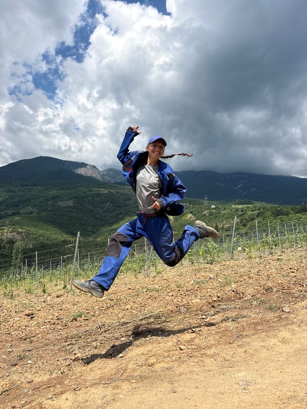 Worker photographed at Ukrainian vineyard during morning activities