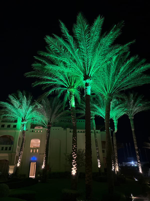 Resort night in Egypt: lit pools, palms, and a outfit flat lay