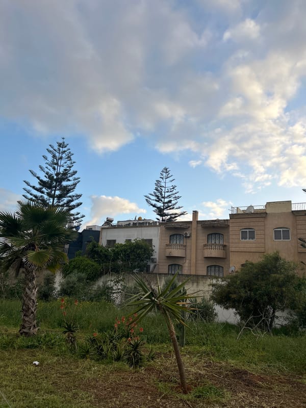 Witness documents residential Casablanca neighborhood in evening photo walk