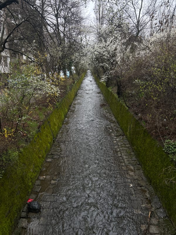 Spring morning scenes captured in Sofia: flowing canal, coffee break
