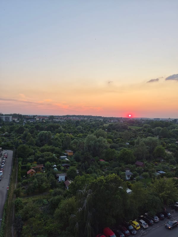 Sunset over a leafy urban-suburban edge from above