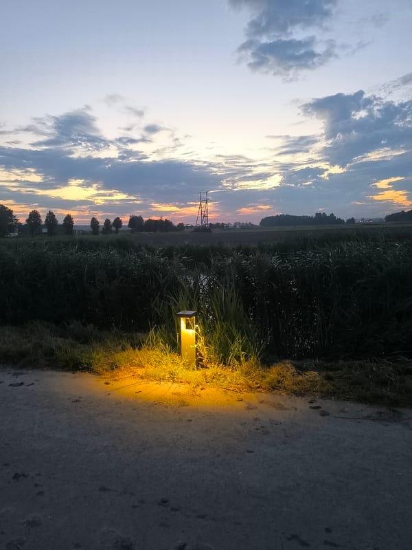 Twilight along a reed-lined path in rural Andijk