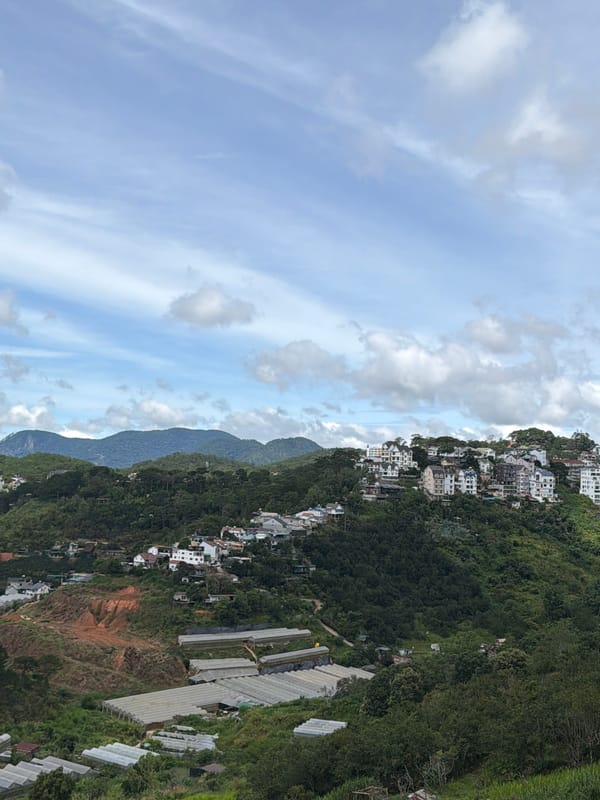 Selfies and city views from Da Lat's hillside lookout