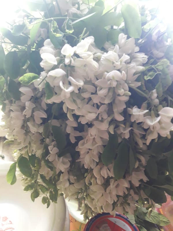 White flowers and illustrated ceramic mug observed within minutes