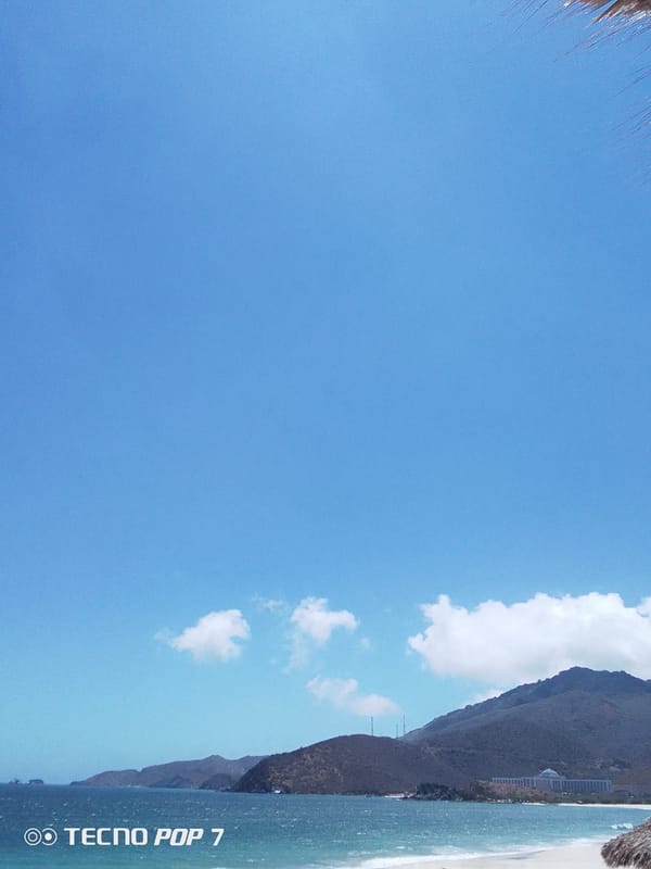 Clear skies and palm trees captured in Pedro González