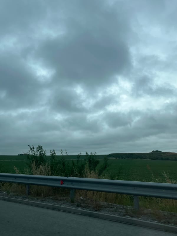 Rural road journey documented through countryside landscapes and villages