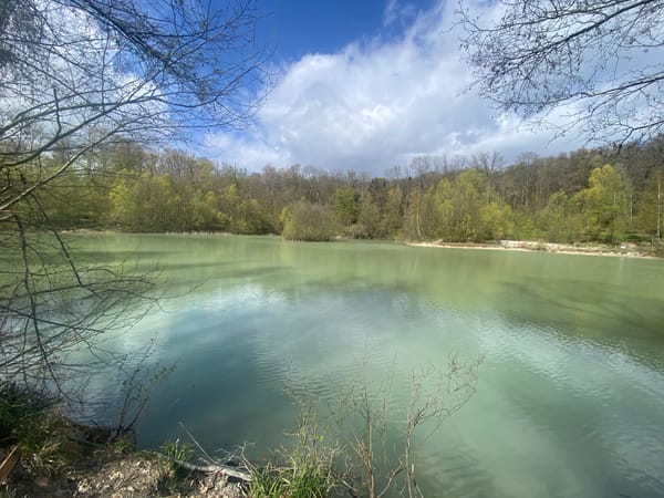Lake views captured at Saint-Martin-du-Tertre, France