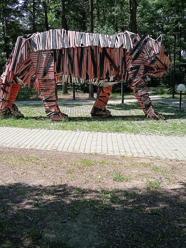Morning park activities captured in Artyom, Russia