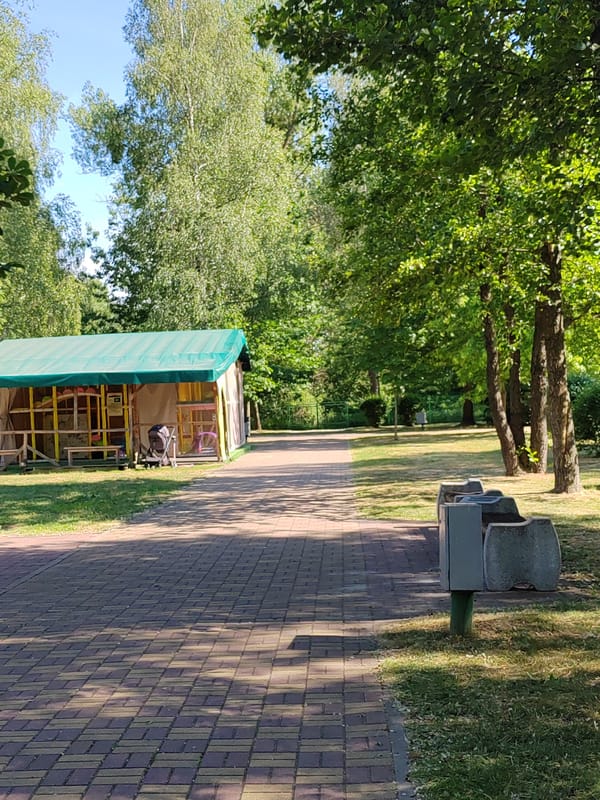 Summer afternoon at Brest park features rides and poplar fluff