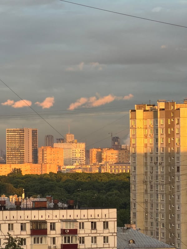 Child and parrot share quiet evening in Khimki apartment