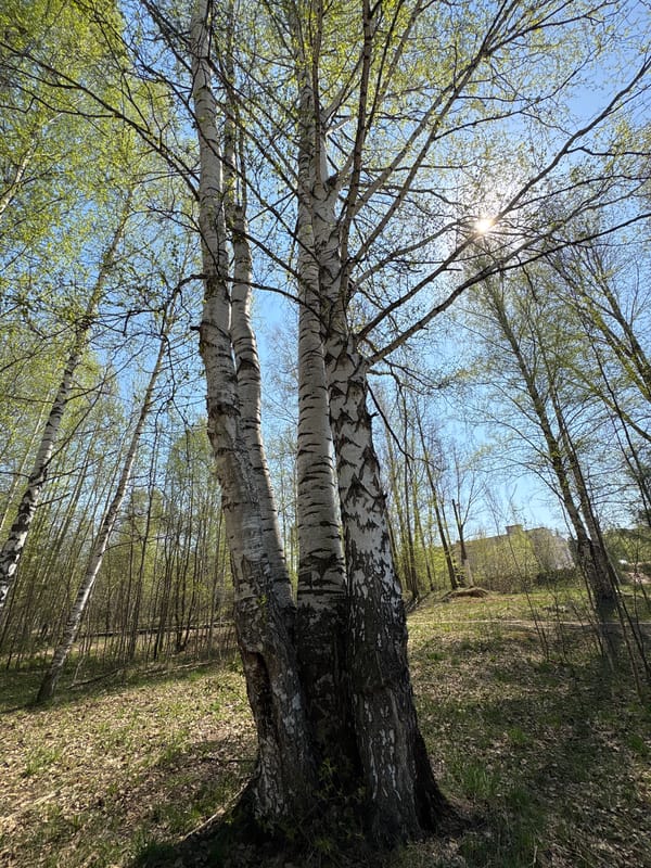 Morning leisure activities documented at Chaikovsky waterfront recreation area