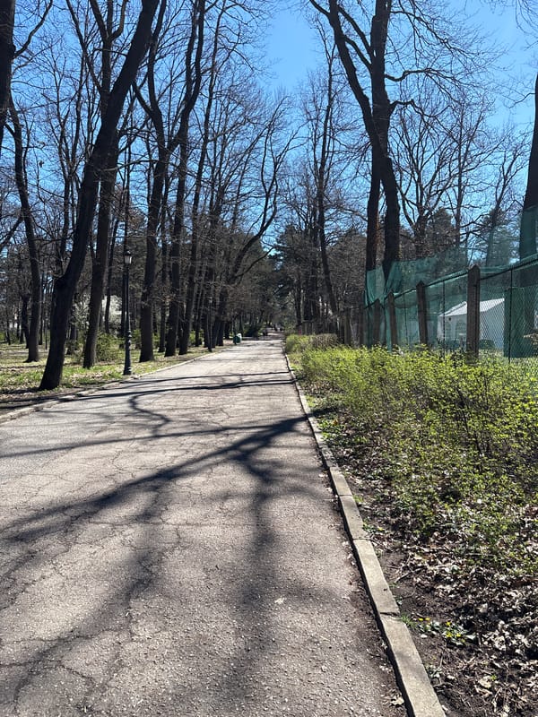 Spring morning scene captured at Sofia's Borisova Gradina park