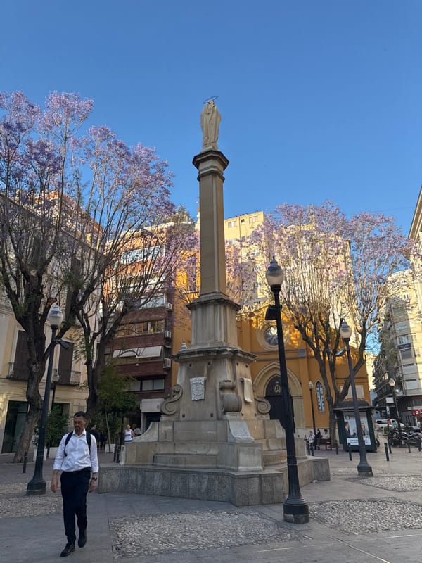 Purple petals cover cobblestones near Murcia's historic plaza monument