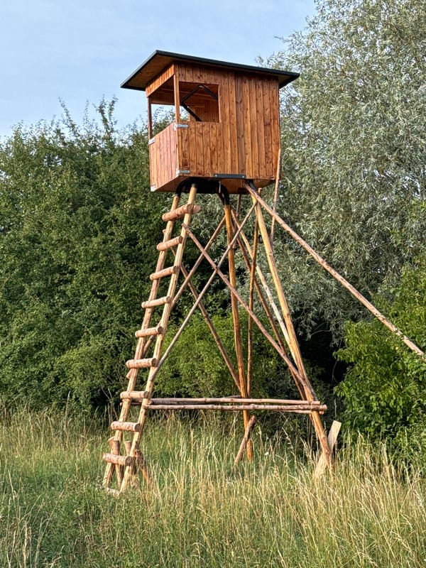 Elevated hunting blind at a field's edge near Ingolstadt
