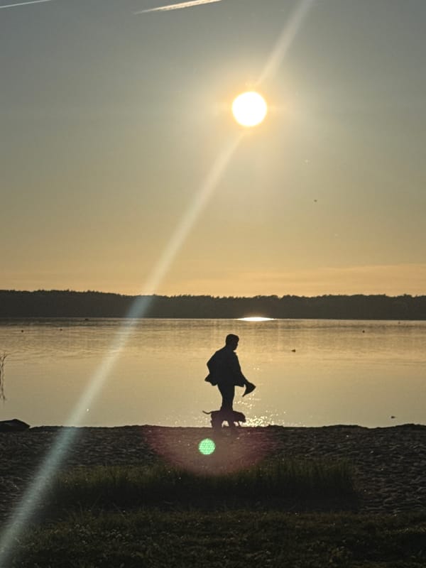 Golden hour sunset documented across Tallinn waterfront landscapes