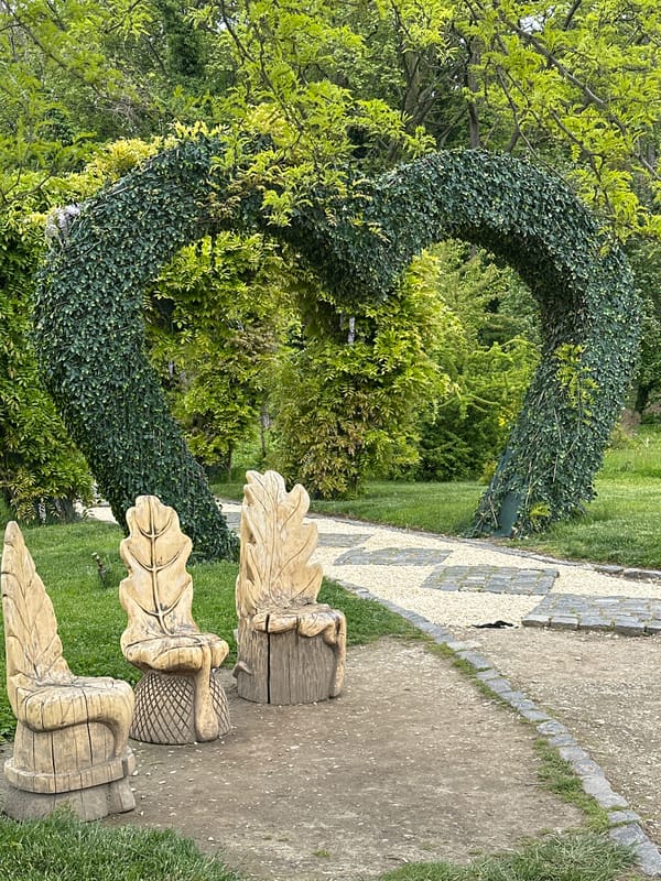 Visitor captures peaceful morning scenes at Craiova park