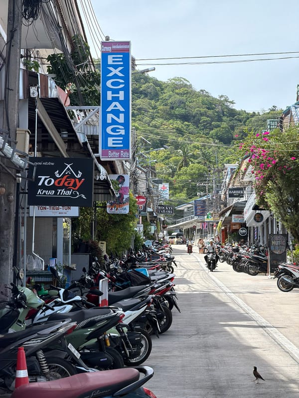 Ko Tao harbor life: dive boats, piers, and street scenes