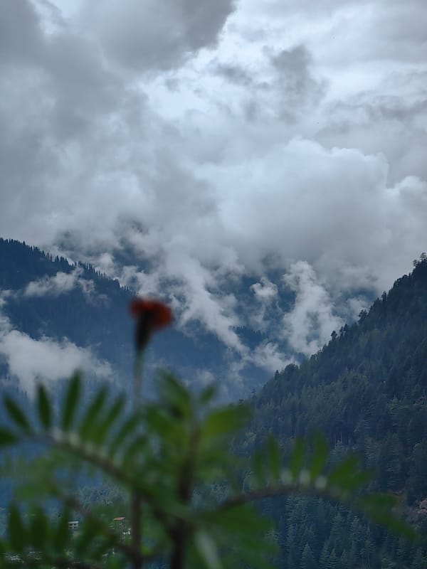 Misty morning in Vashisht, clouds swallowing the mountain slopes