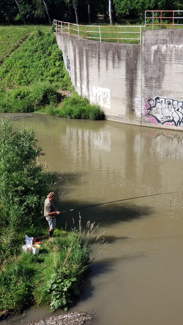 Riverside fishing and wildflowers on a sunny Prešov morning
