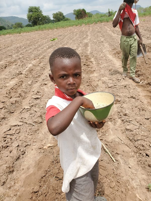 Morning farm work documented in Mararaba agricultural fields
