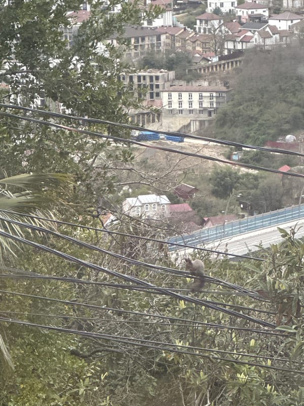 Casual afternoon moments captured across Sochi cityscape and dining