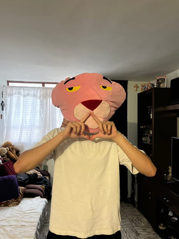 Person poses with plush toys in decorated bedroom
