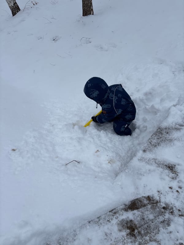 Family documents winter morning activities in rural Russia