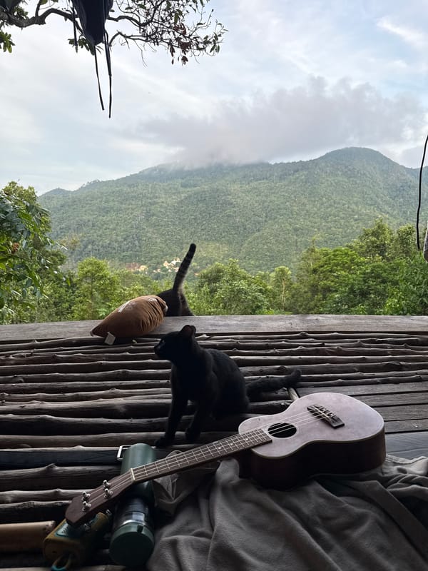 Makeshift mountain camp documented in rural Thailand