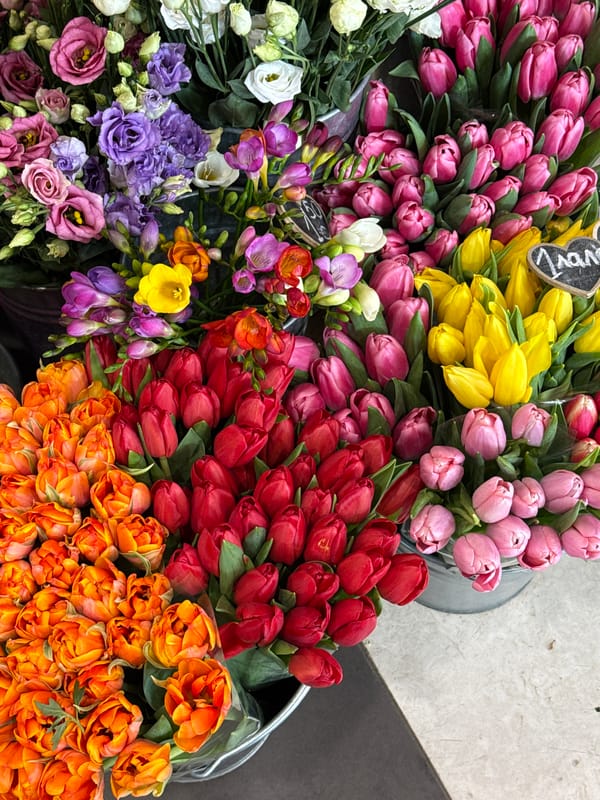 Morning scenes: flower market and street cat encounter in Plovdiv