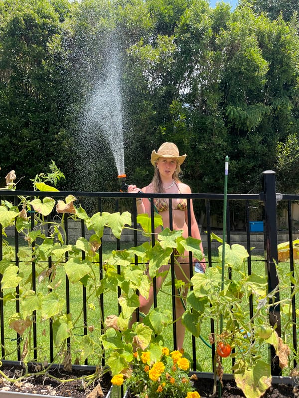 Late-night birthday pool party celebrated in Bulli backyard