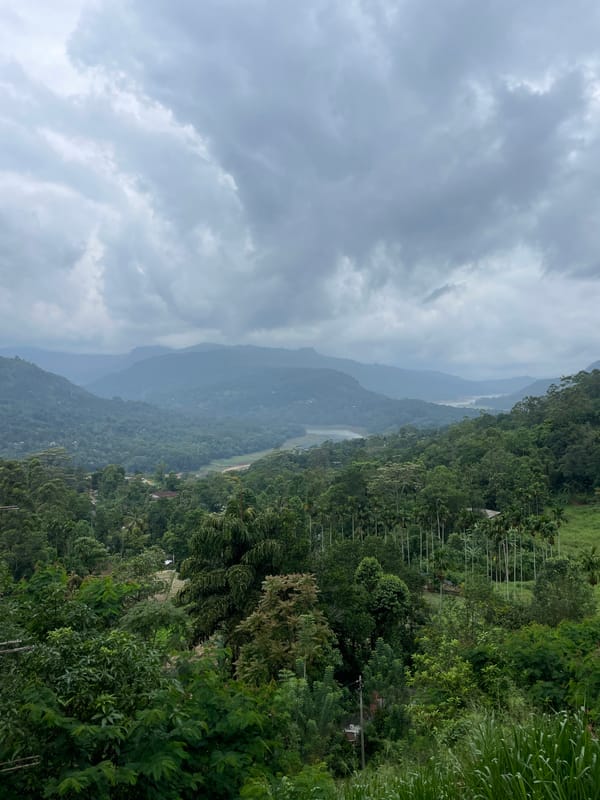 Morning scenes captured in Tawalantenna valley, Sri Lanka