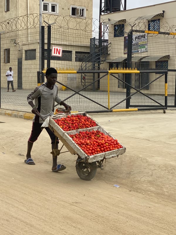 Street vendor sells tomatoes from cart in Ado Nigeria