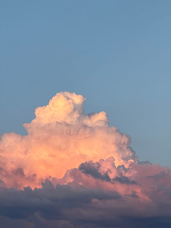 Summer skies, wildflowers, and utility poles in Kokshetau