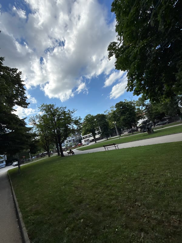 Afternoon dog walk documented through Vratsa parks and streets
