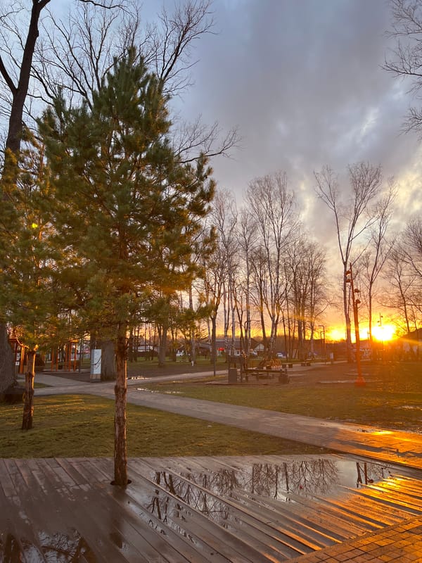 Sunset park scene captured in Ufa with swings, trees