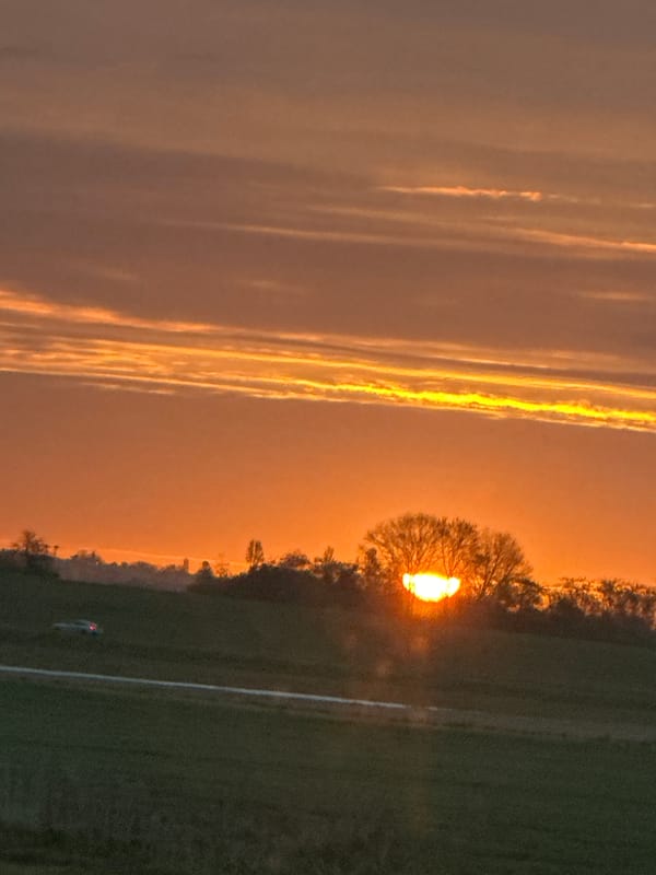 Sunset captured through bare tree silhouette in Ballainvilliers