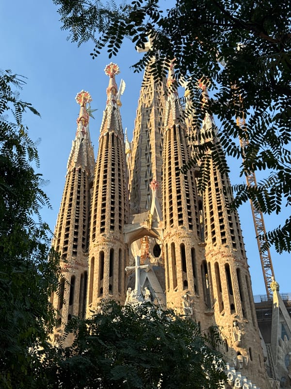 Close-up views of Sagrada Família's spires on a summer afternoon